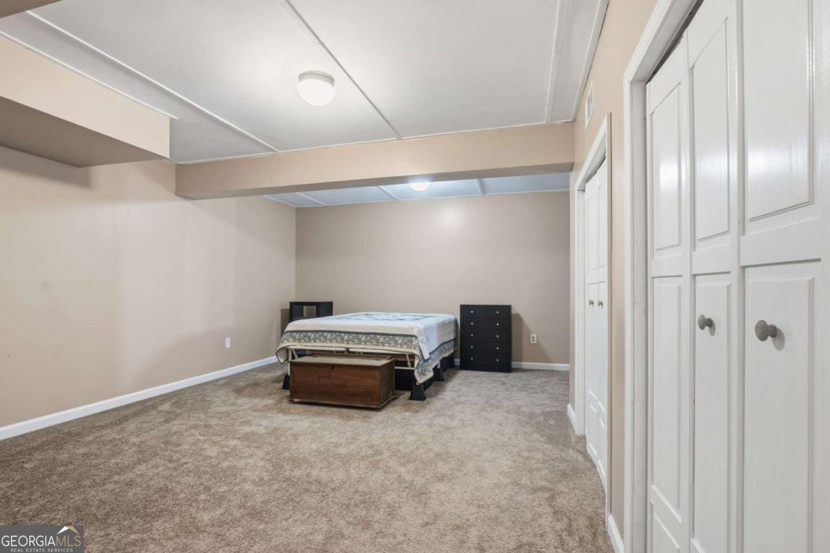 303 Salem Church Road Dawsonville - Photo 62