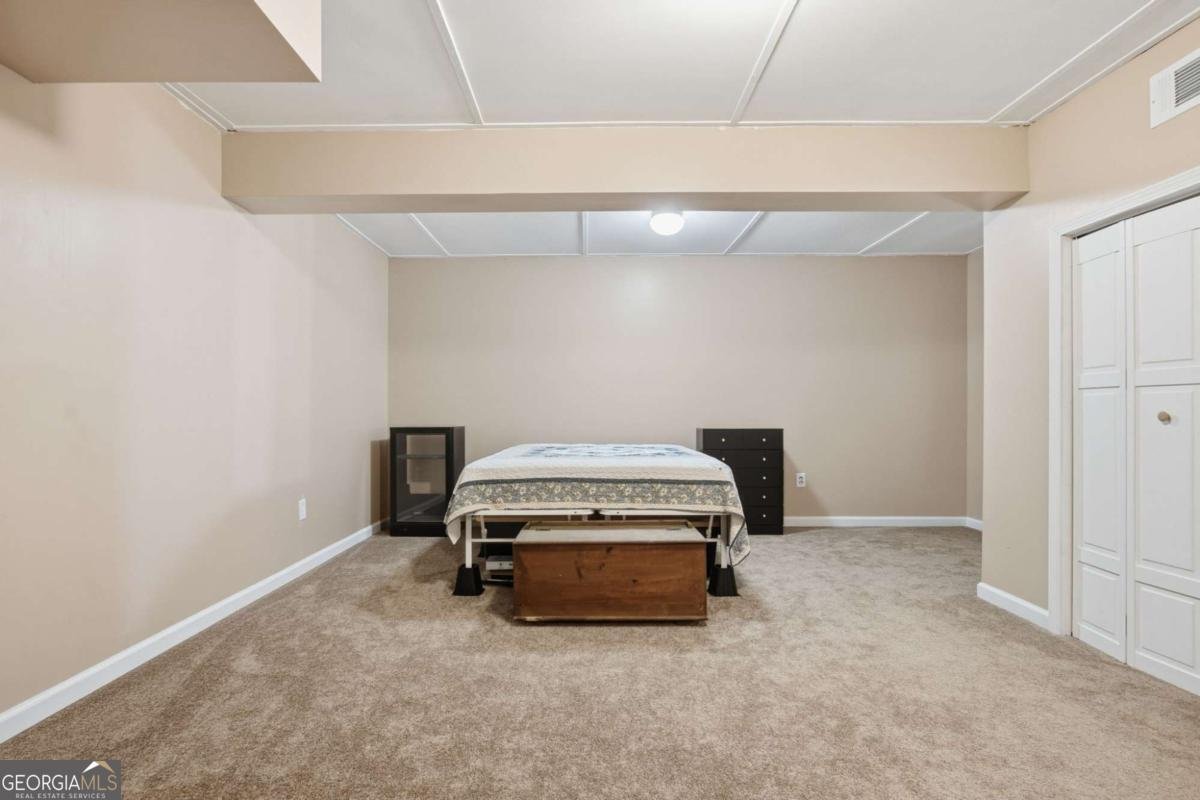 303 Salem Church Road Dawsonville - Photo 63