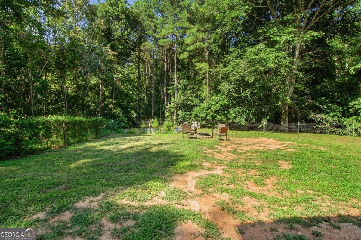 303 Salem Church Road Dawsonville - Photo 74
