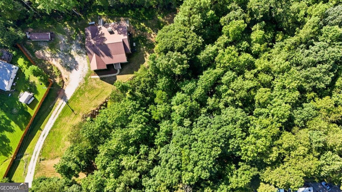 303 Salem Church Road Dawsonville - Photo 76