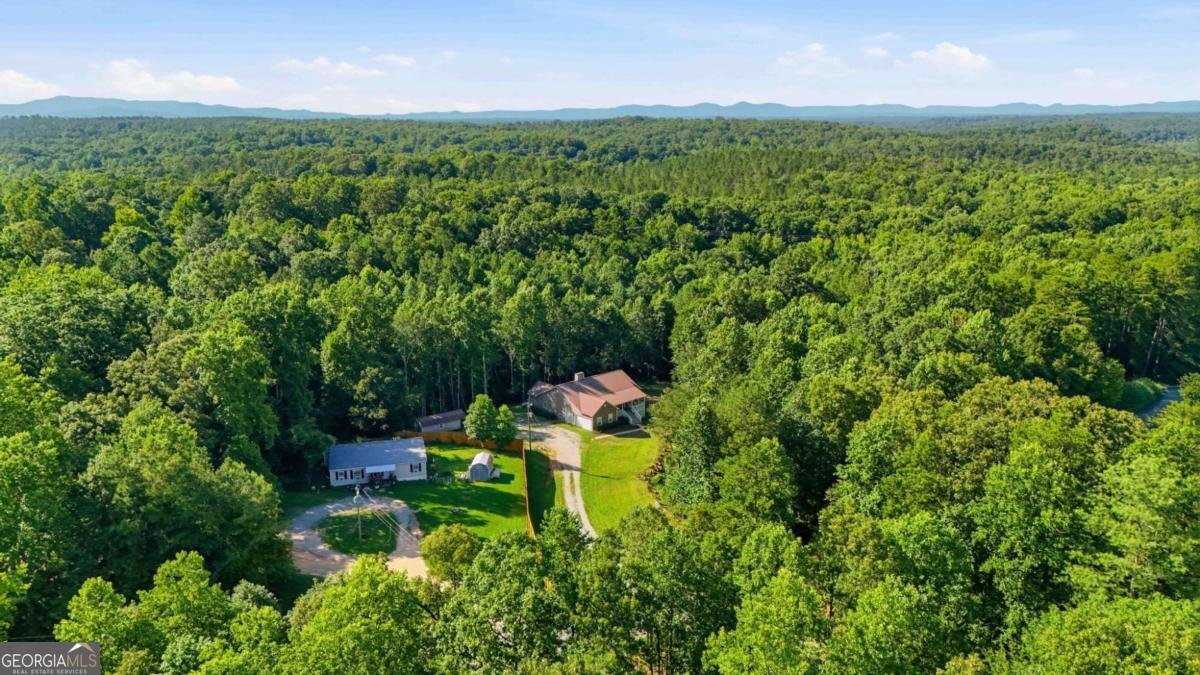 303 Salem Church Road Dawsonville - Photo 81