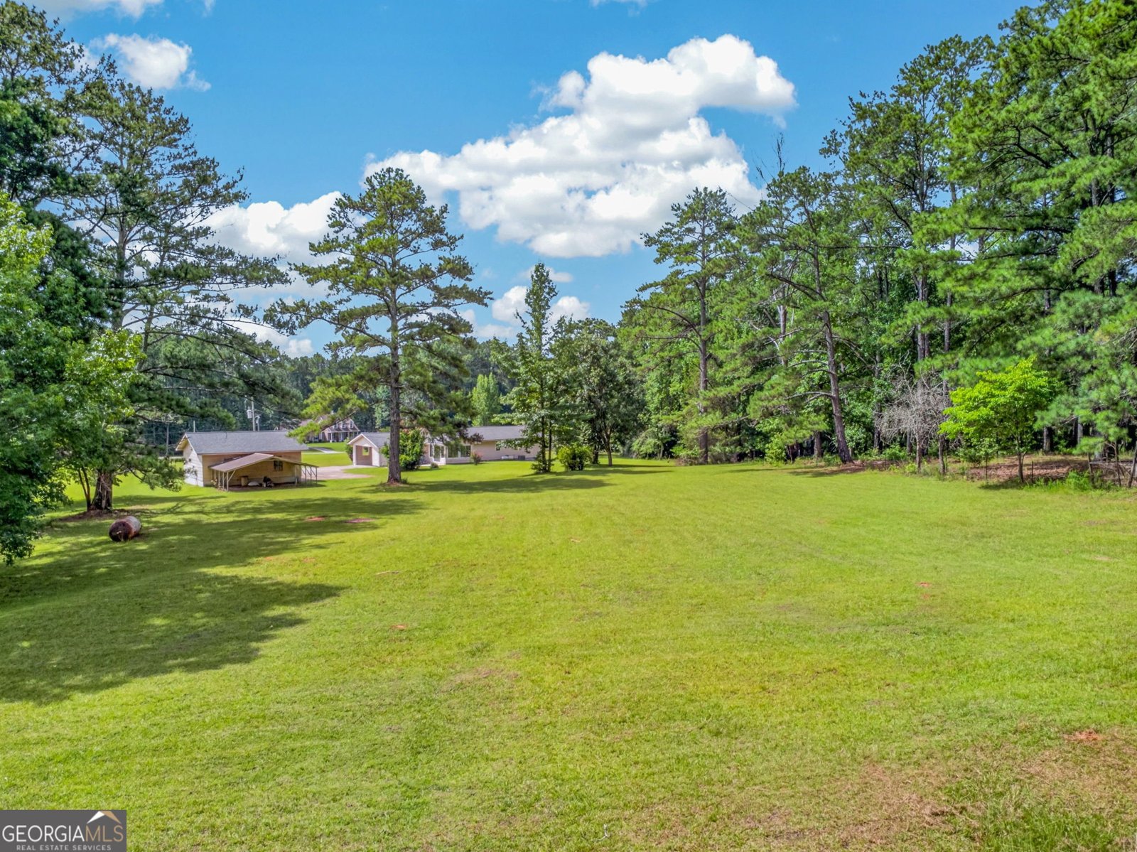 265 Aaron Young Road Newnan - Photo 45