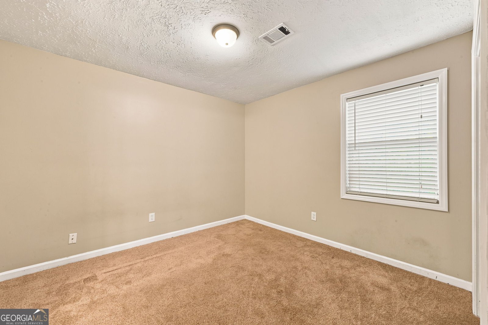 3785 Bozeman Lake Road Kennesaw - Photo 33