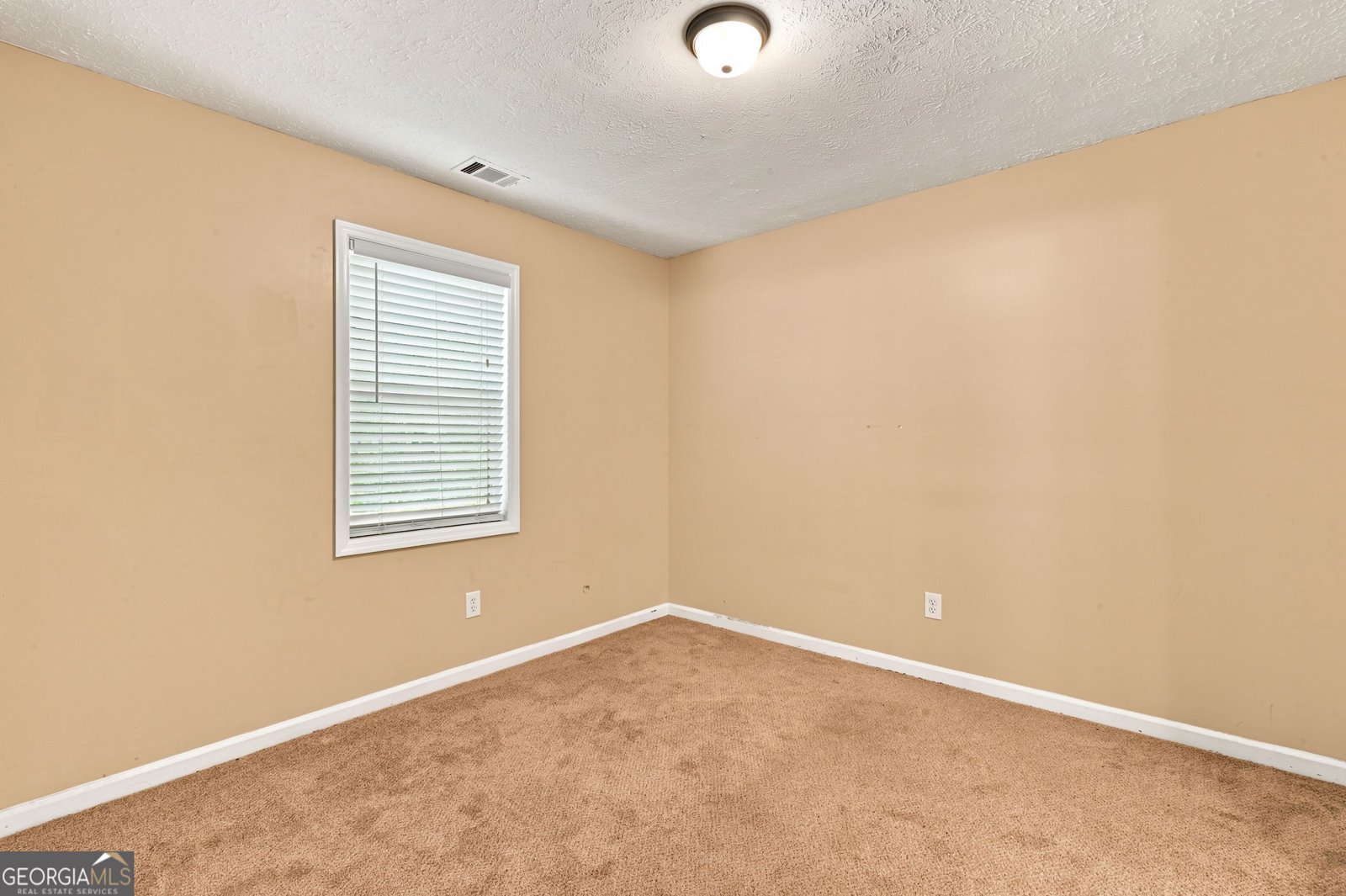 3785 Bozeman Lake Road Kennesaw - Photo 36