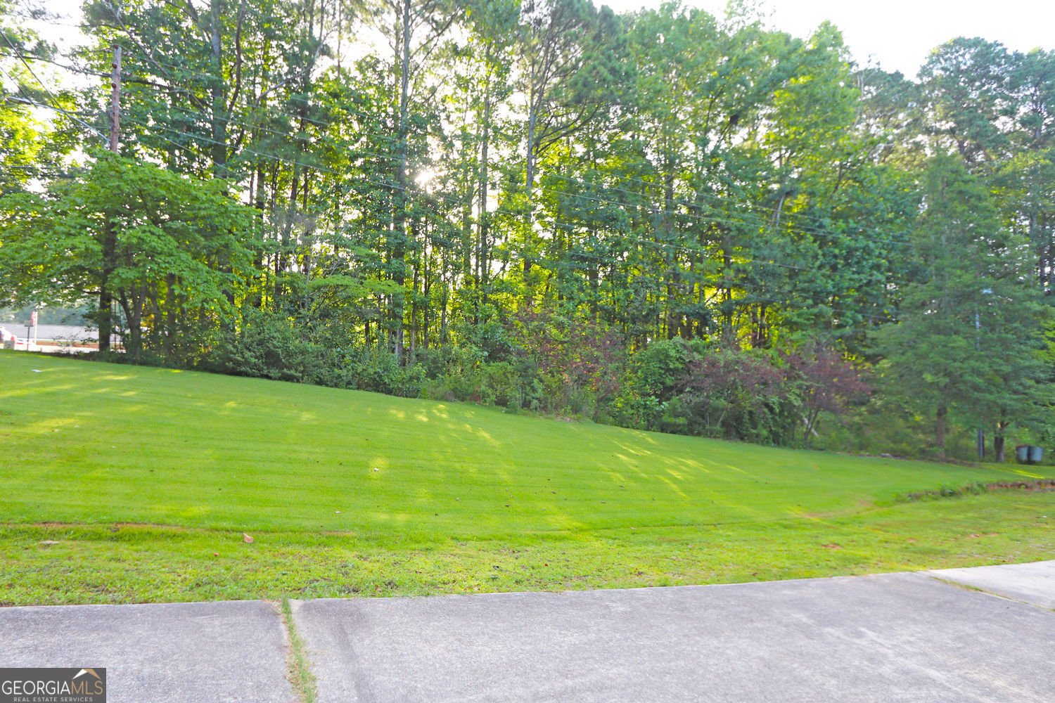 309 Field Street Bremen - Photo 61