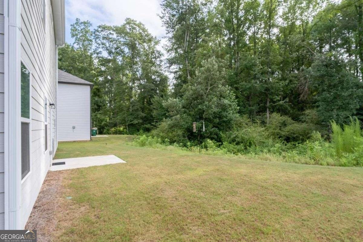 383 Morgan Road Carrollton - Photo 38