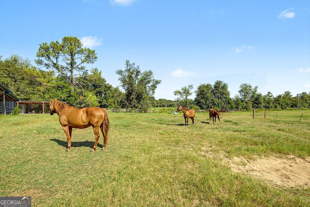 4781 Lj Road Claxton - Photo 45