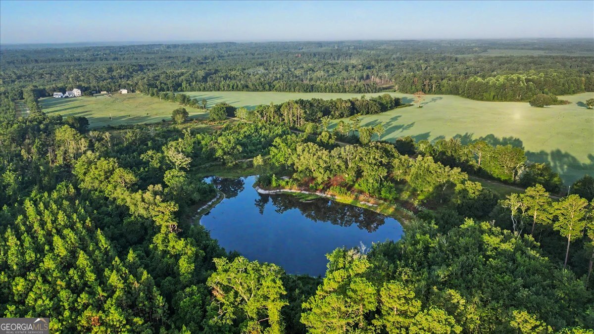 4781 Lj Road Claxton - Photo 58