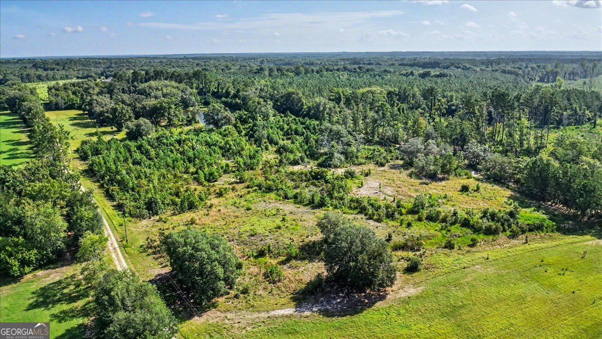 4781 Lj Road Claxton - Photo 60