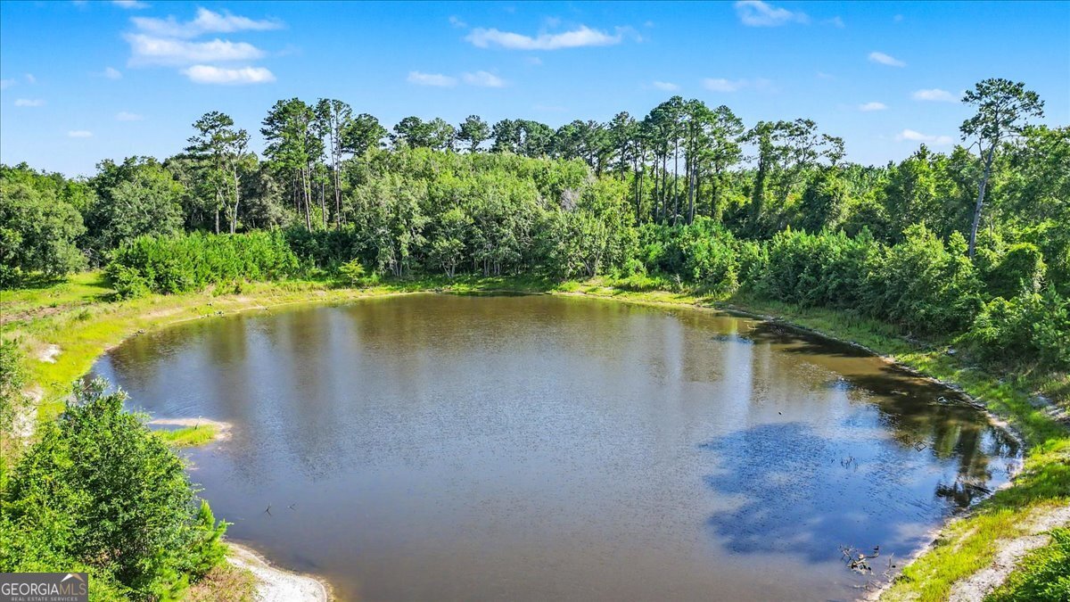 4781 Lj Road Claxton - Photo 62