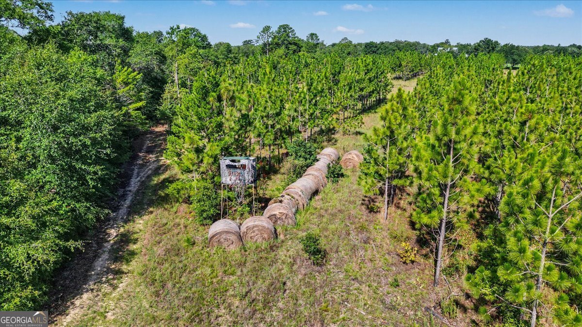4781 Lj Road Claxton - Photo 65