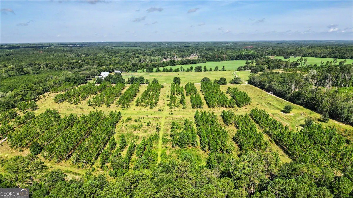 4781 Lj Road Claxton - Photo 67