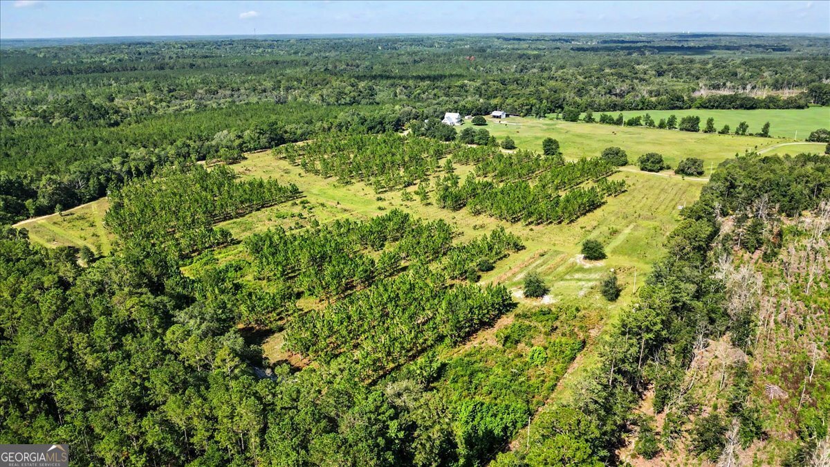 4781 Lj Road Claxton - Photo 68