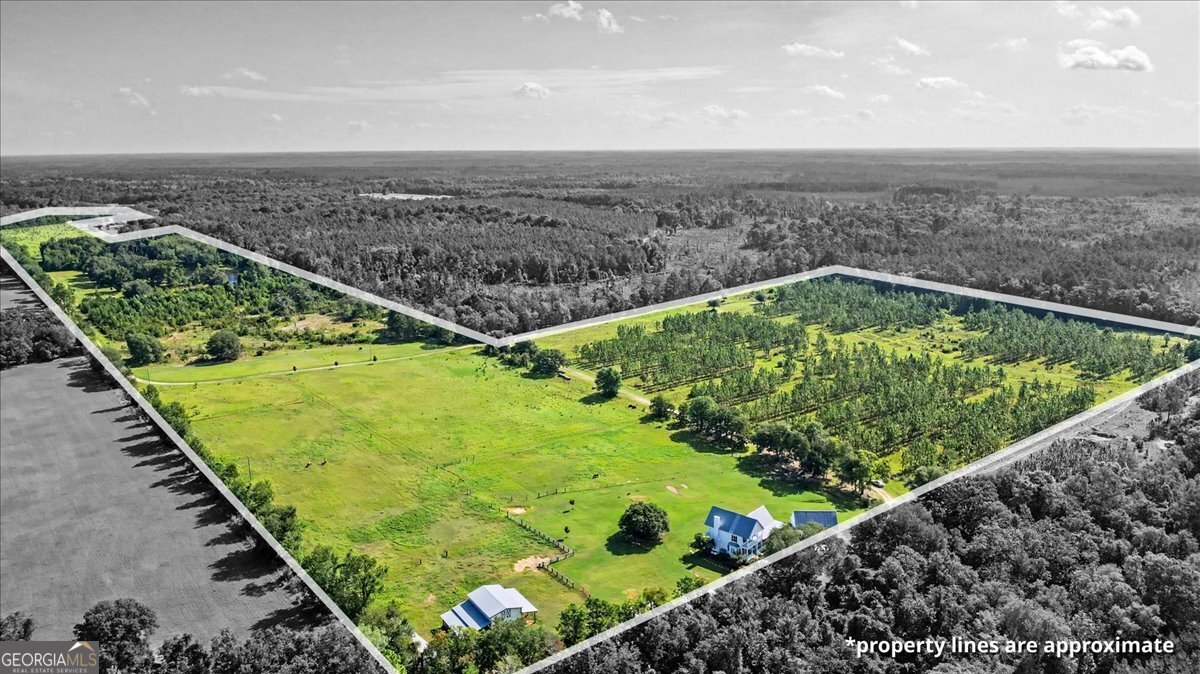 4781 Lj Road Claxton - Photo 69