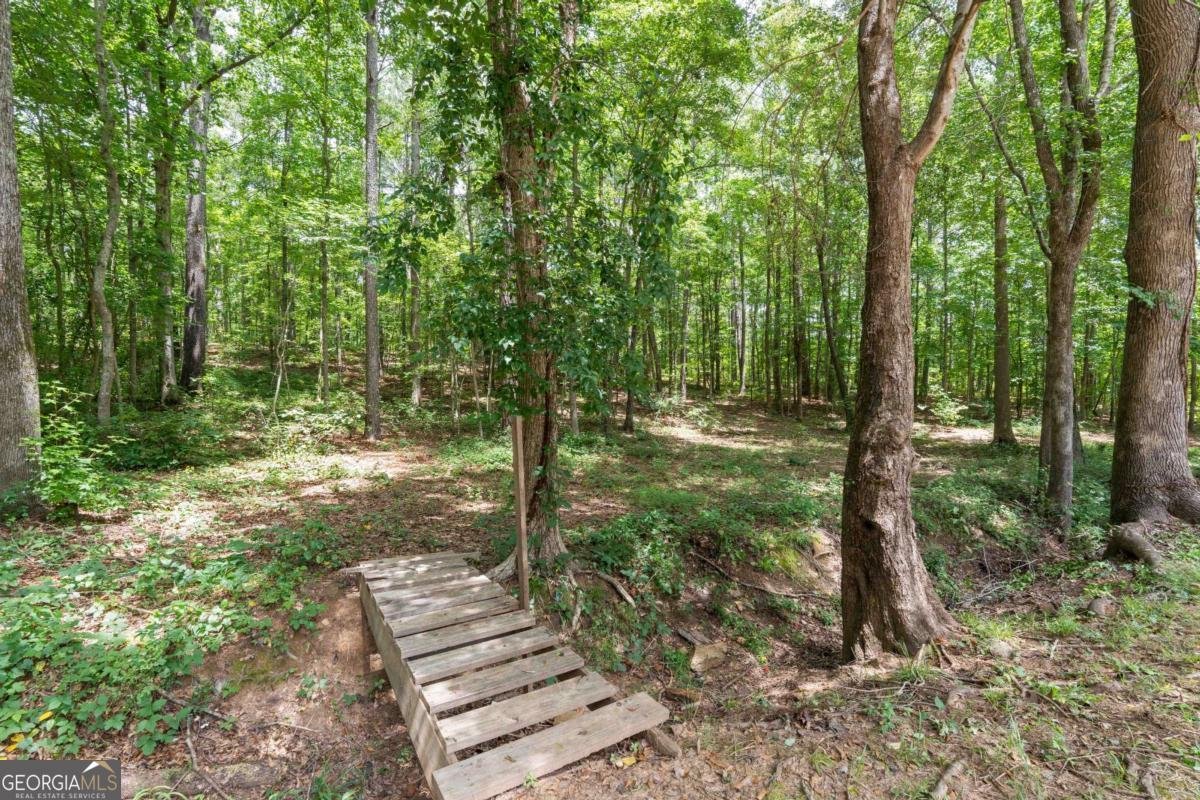 91 Water Spaniel Lane Carrollton - Photo 34
