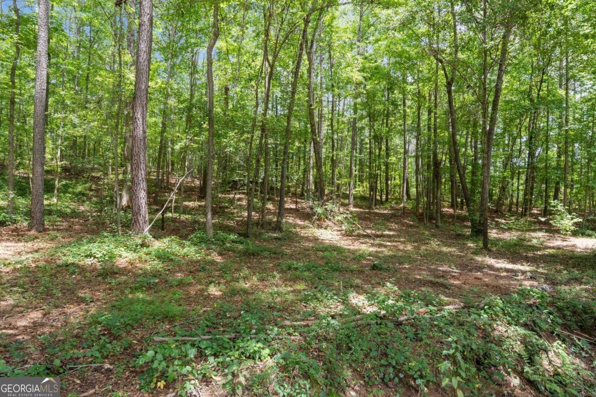 91 Water Spaniel Lane Carrollton - Photo 35