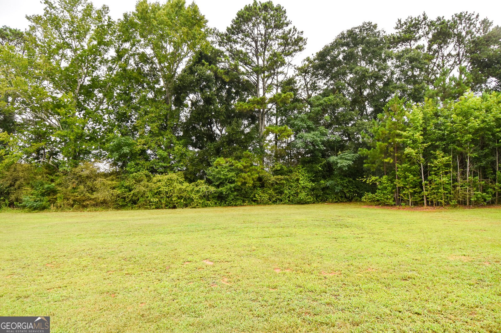 4355 Ga Highway 109 Molena - Photo 7