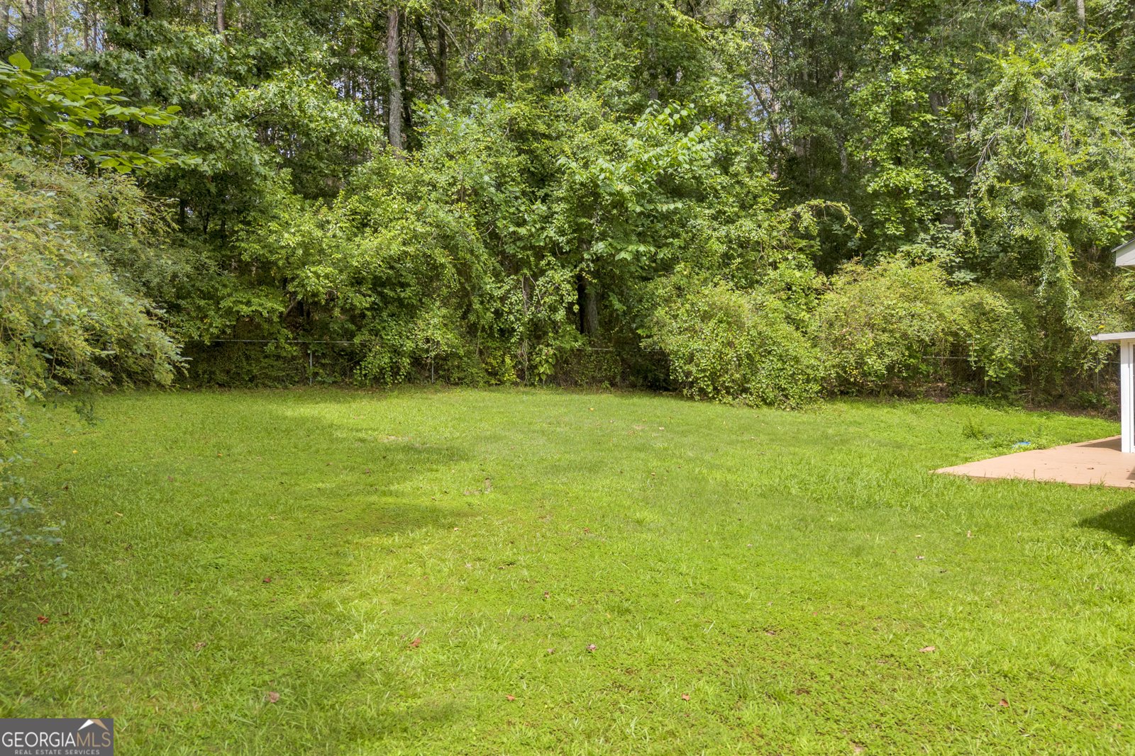 3630 Creekwood Trail Loganville - Photo 10