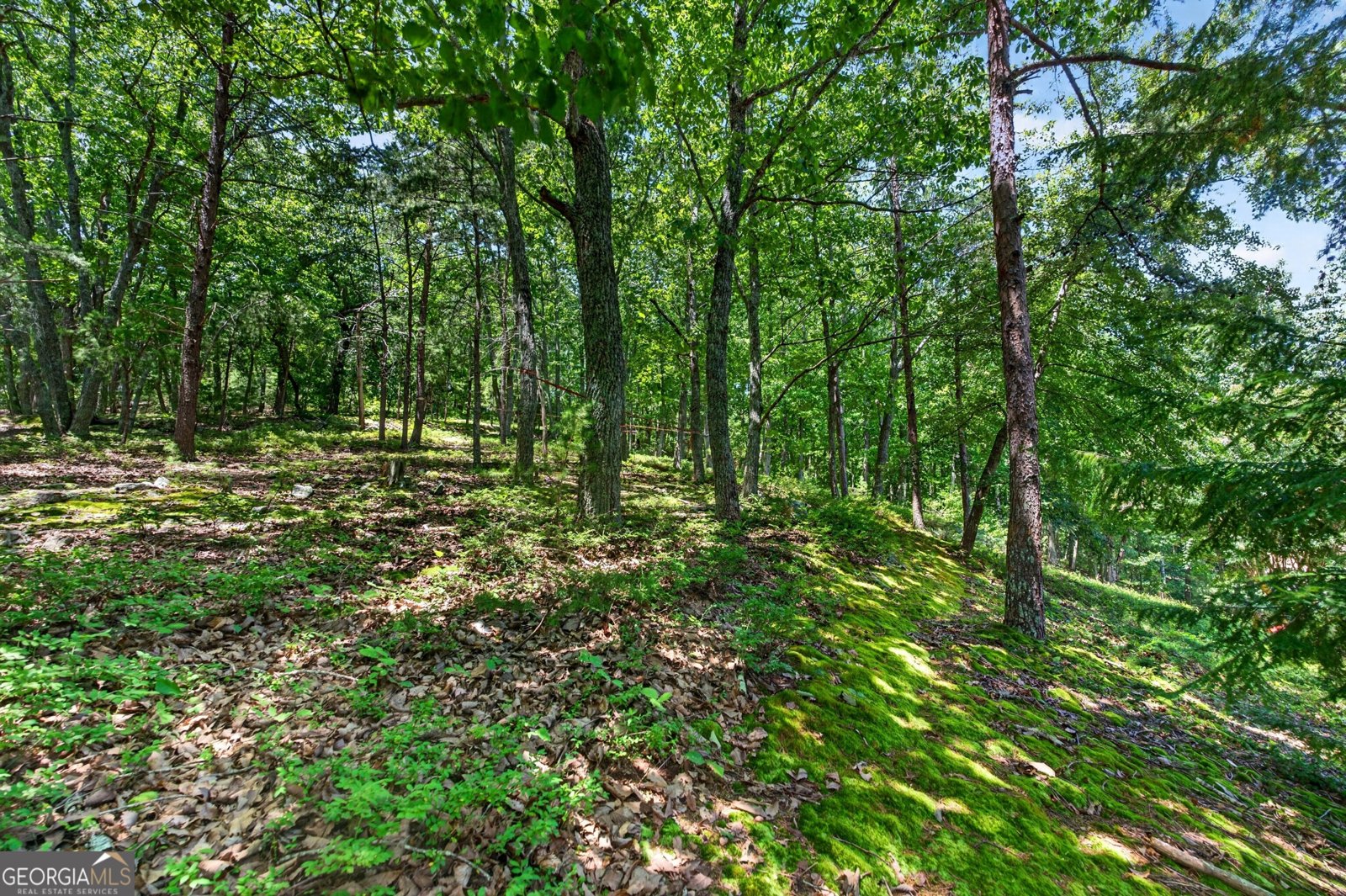 3442 Slope Court Marietta - Photo 66