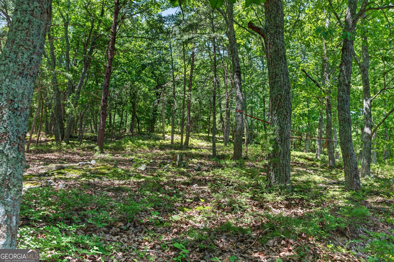3442 Slope Court Marietta - Photo 67