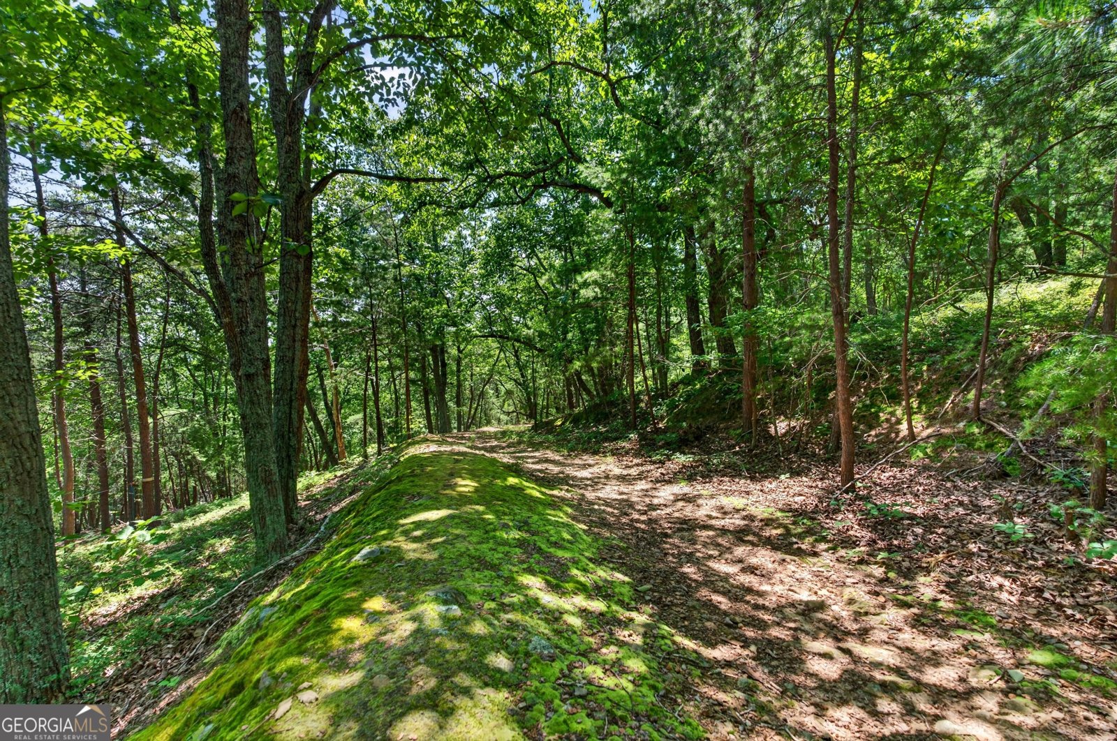3442 Slope Court Marietta - Photo 68