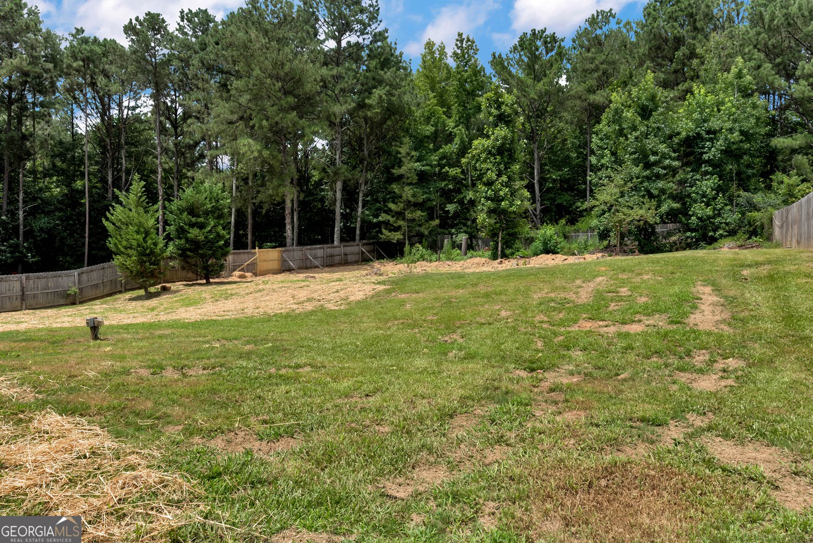 5145 Victoria Park Drive Loganville - Photo 8