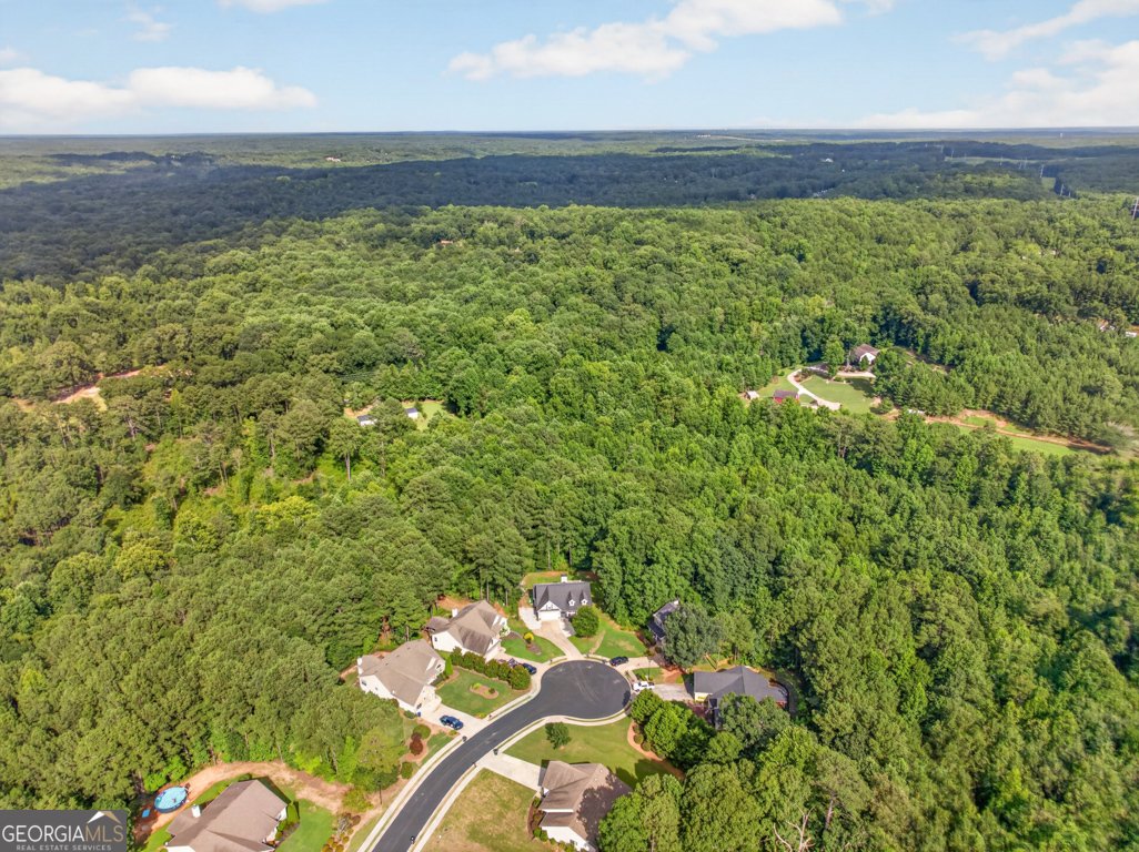 2565 Aaron Court Loganville - Photo 20