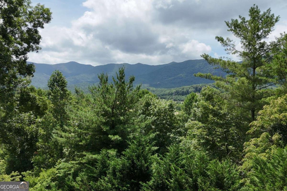 93 Jamie Lane Blairsville - Photo 30