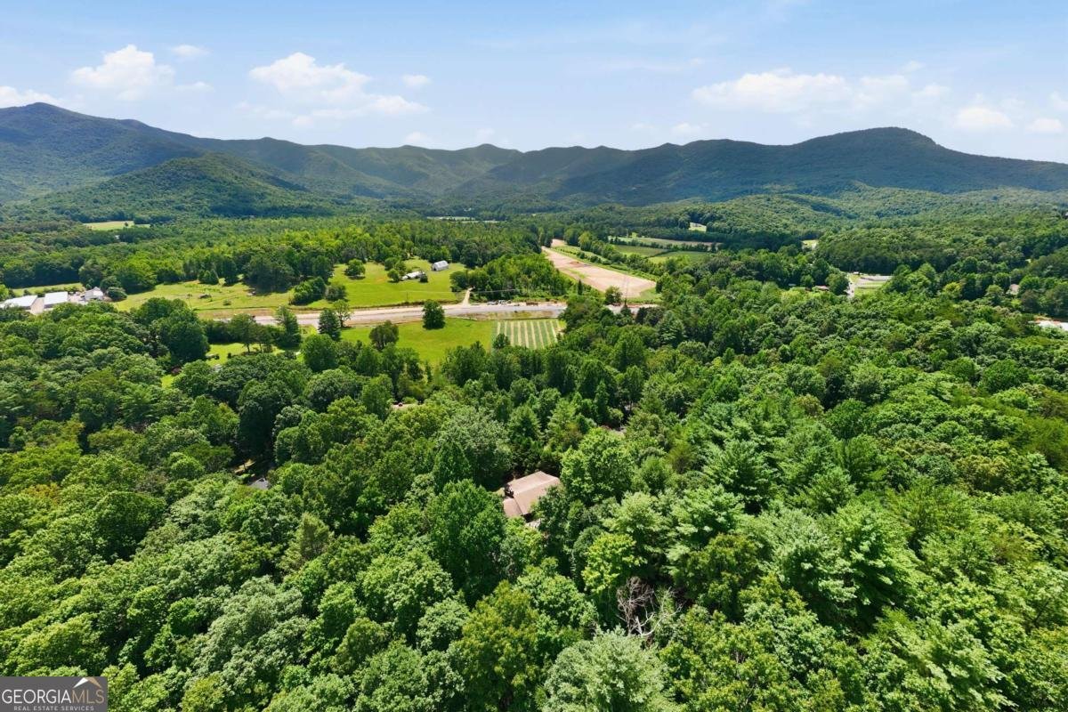 93 Jamie Lane Blairsville - Photo 62