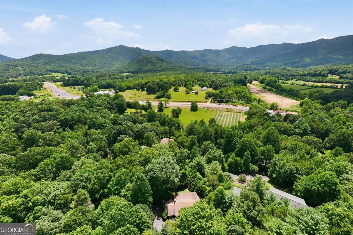 93 Jamie Lane Blairsville - Photo 63