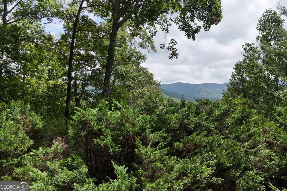 93 Jamie Lane Blairsville - Photo 66