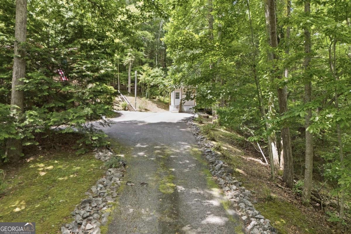 93 Jamie Lane Blairsville - Photo 69