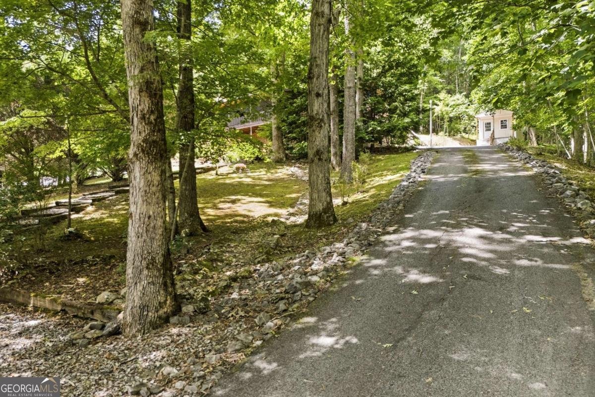 93 Jamie Lane Blairsville - Photo 72