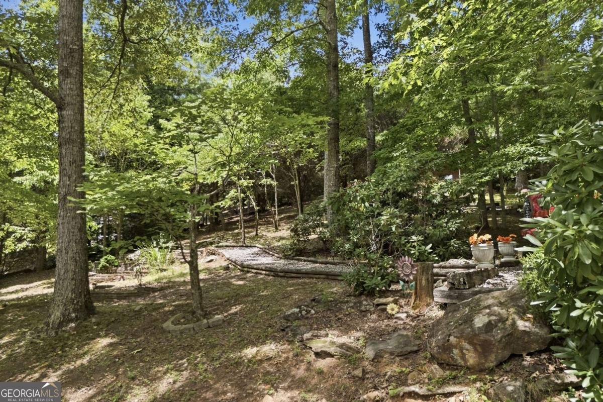 93 Jamie Lane Blairsville - Photo 73