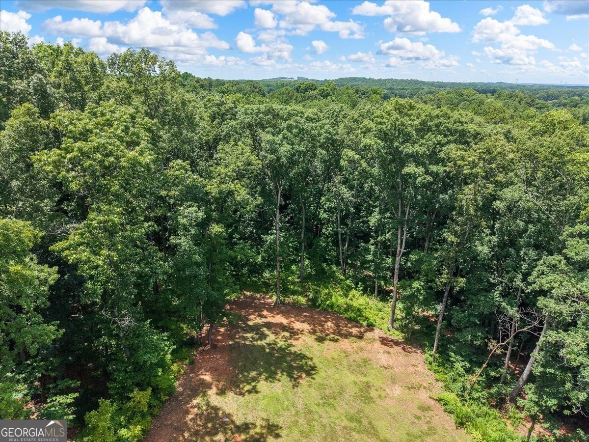 1335 County Line Road Acworth - Photo 10