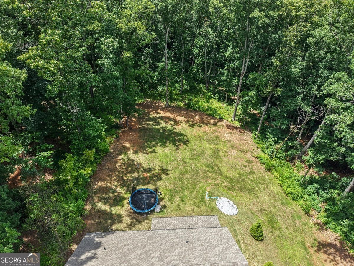 1335 County Line Road Acworth - Photo 11