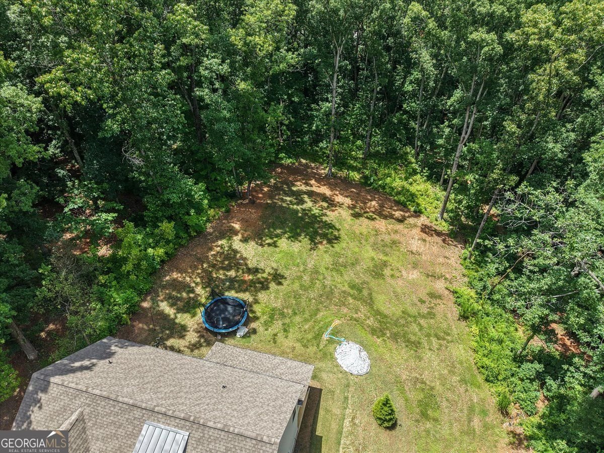1335 County Line Road Acworth - Photo 12