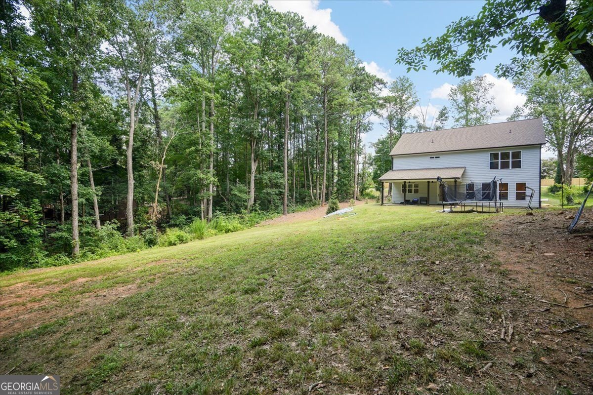 1335 County Line Road Acworth - Photo 92