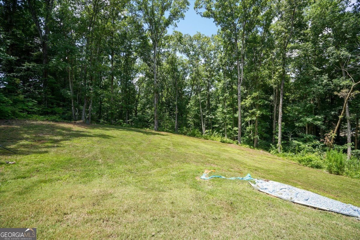 1335 County Line Road Acworth - Photo 93