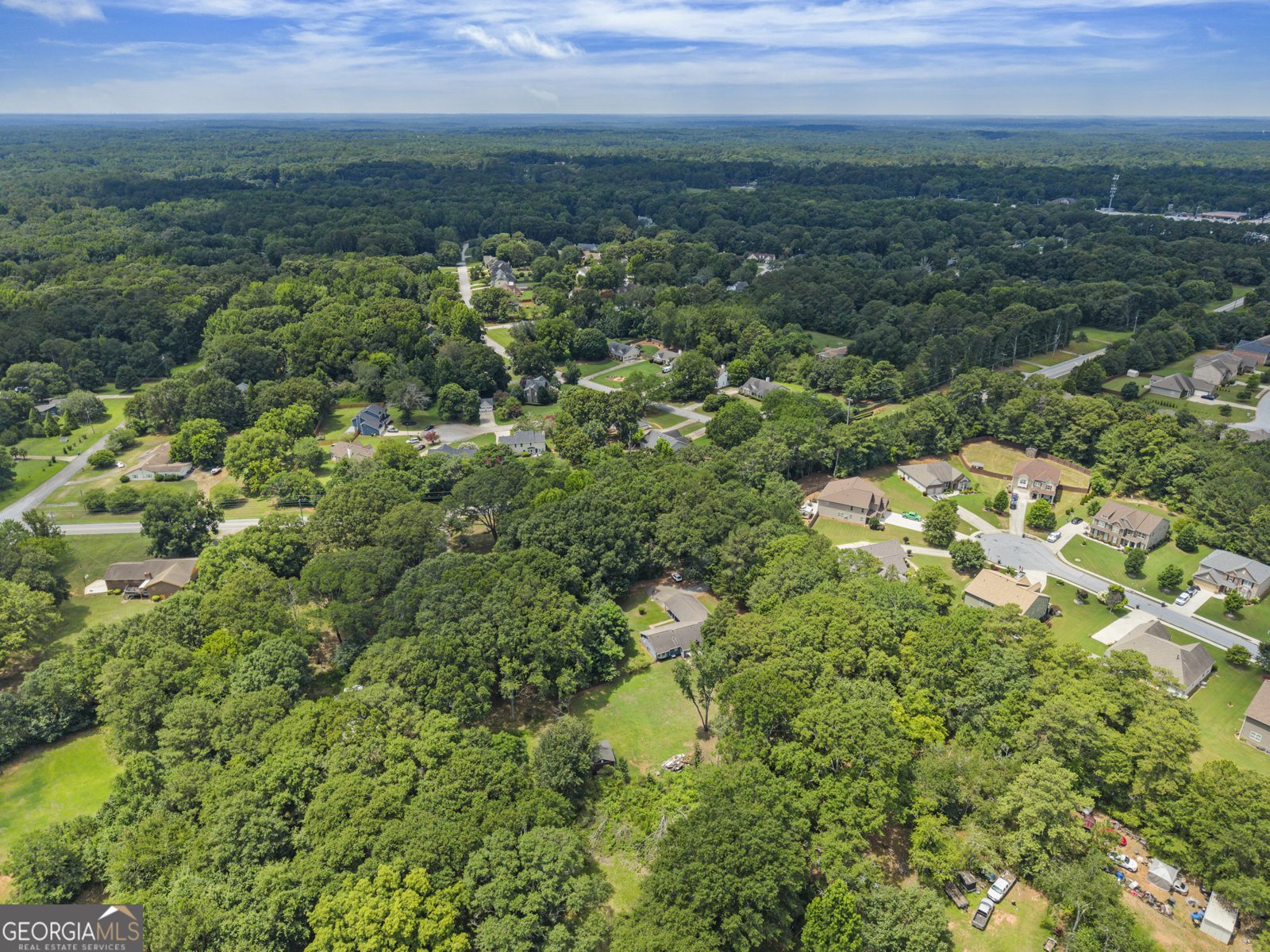 1320 Honey Creek Road Conyers - Photo 48
