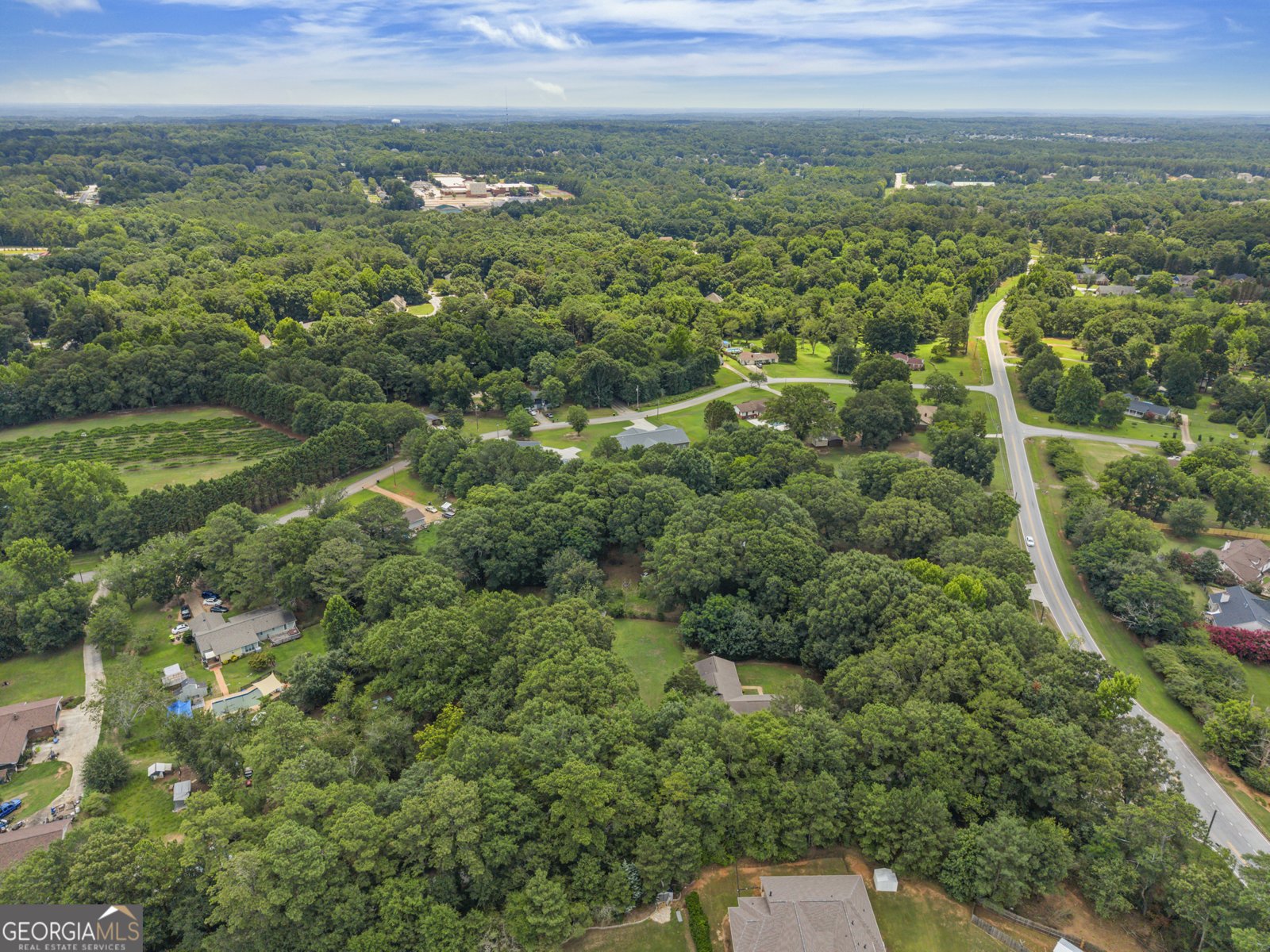 1320 Honey Creek Road Conyers - Photo 49