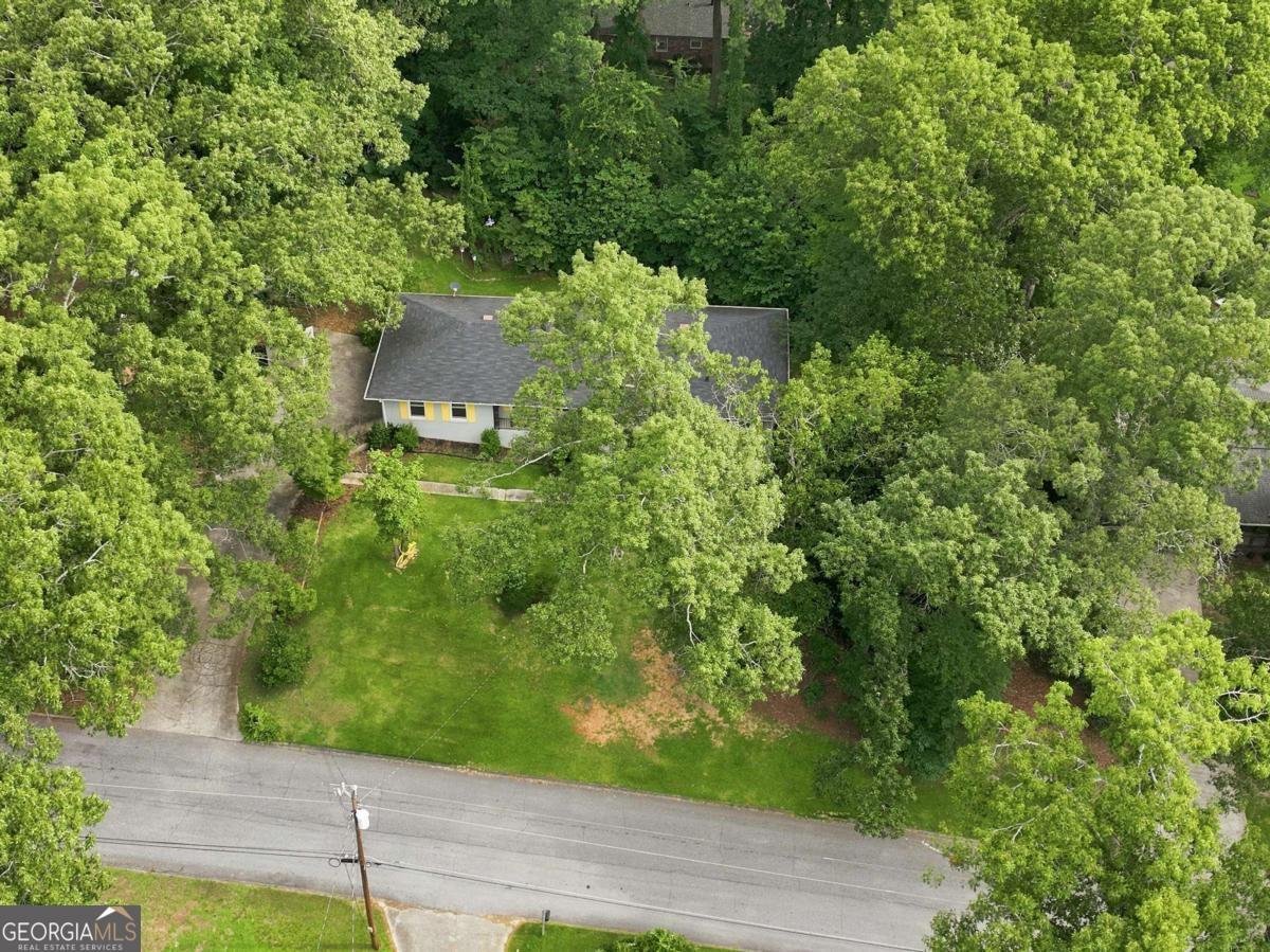 3207 Laura Lane Lithia Springs - Photo 44