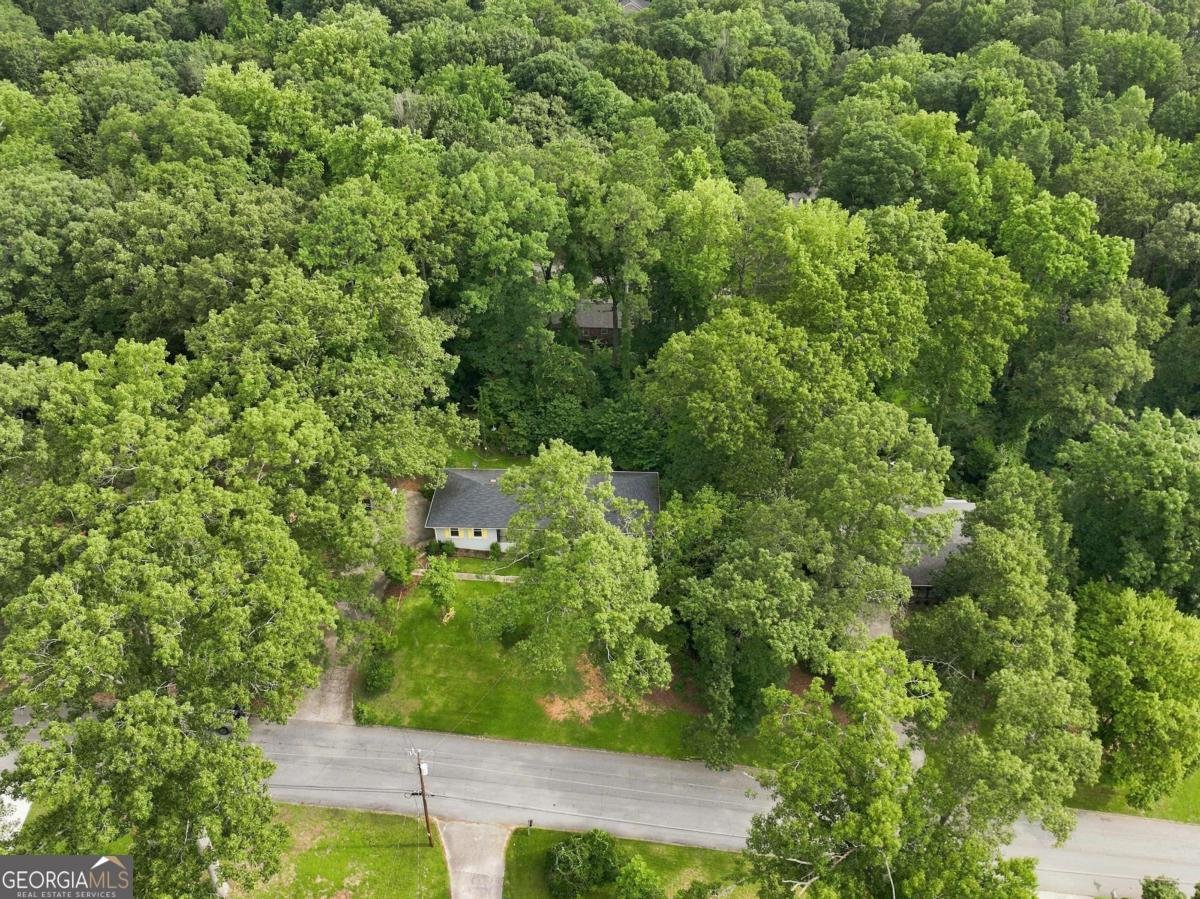 3207 Laura Lane Lithia Springs - Photo 45