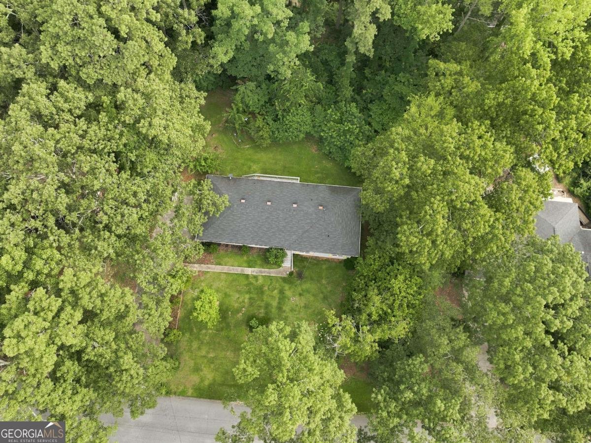 3207 Laura Lane Lithia Springs - Photo 46