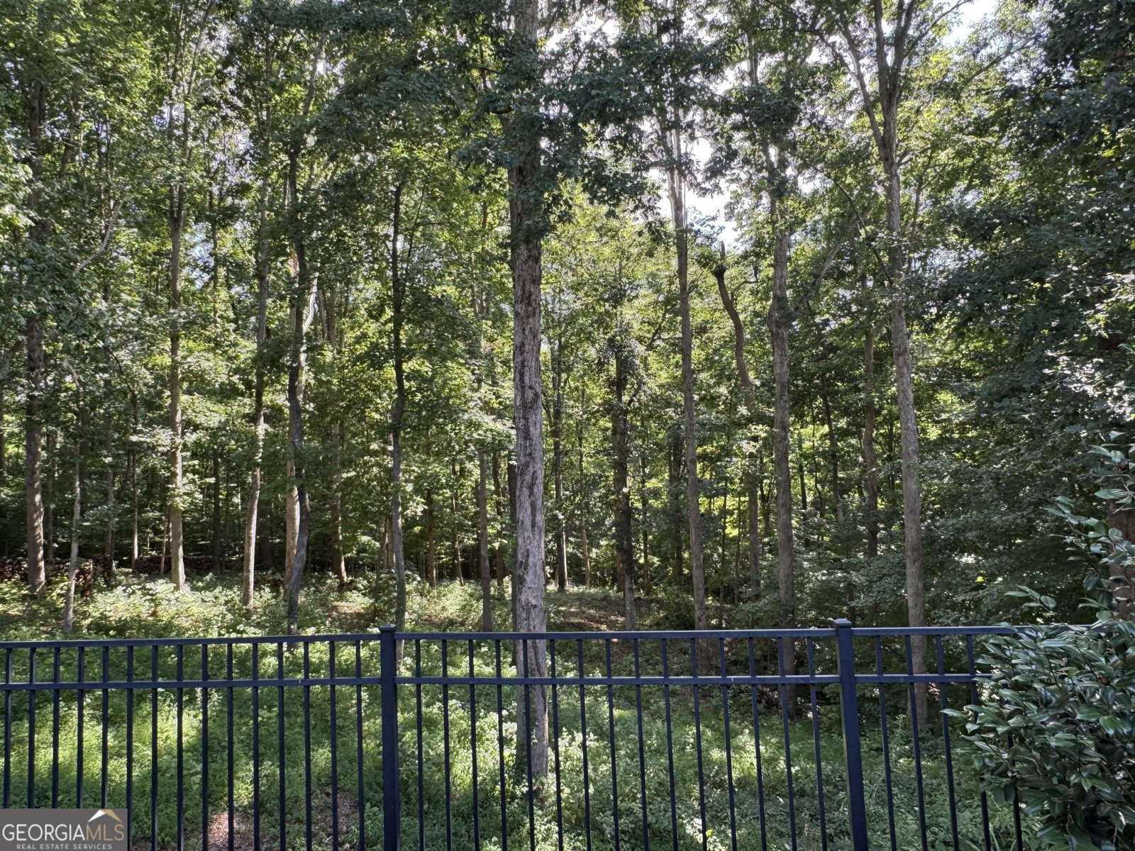 8785 Mica Creek Ball Ground - Photo 53