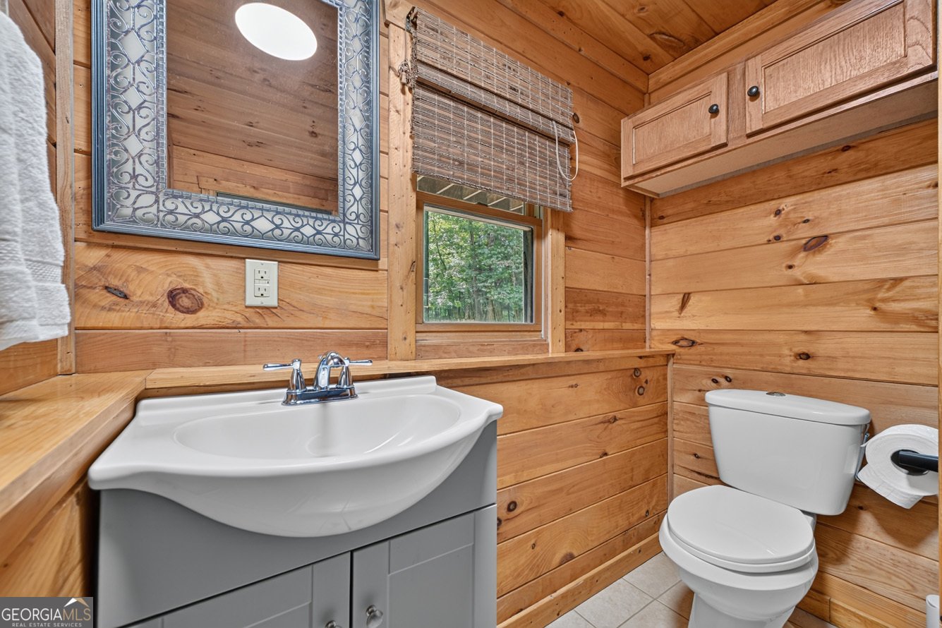 199 Hillsdale Drive Ellijay - Photo 41