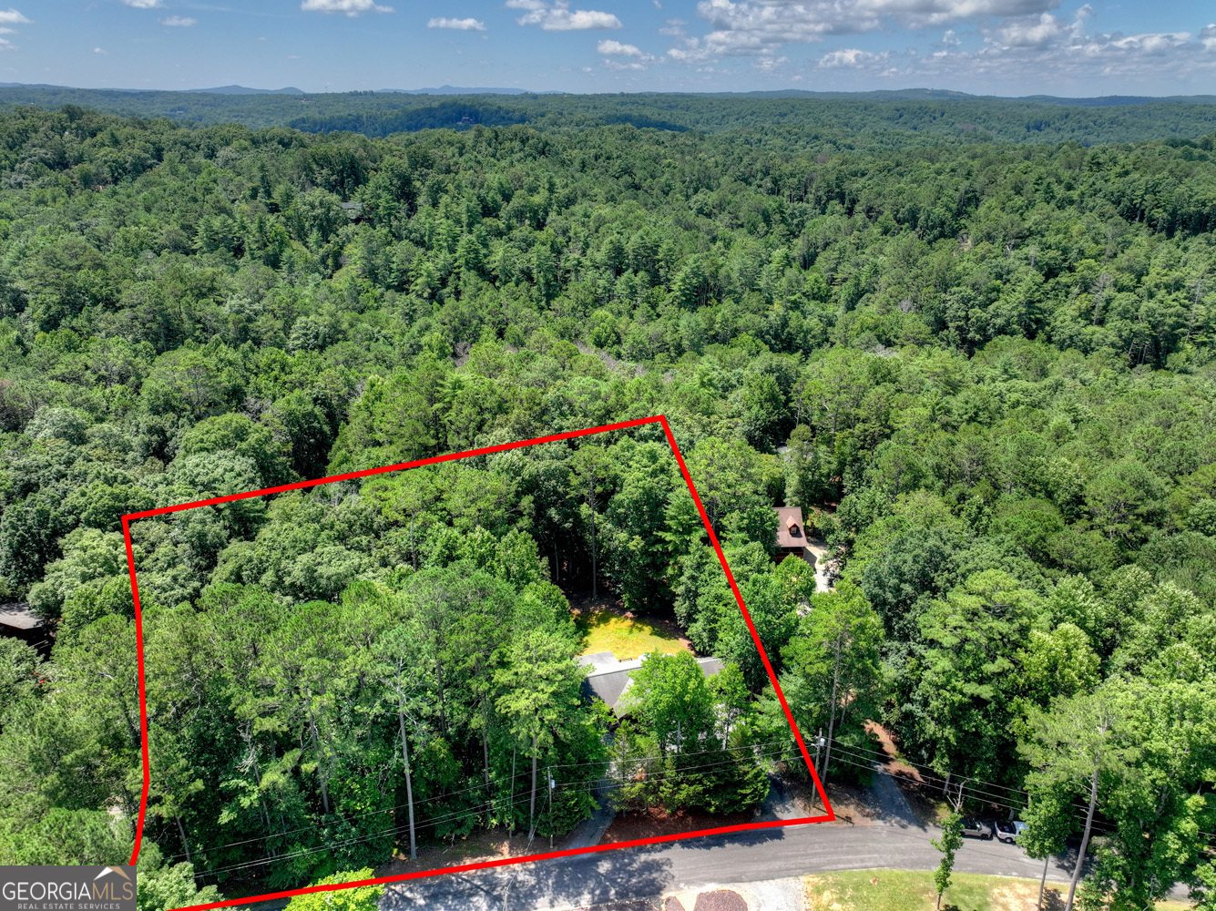 199 Hillsdale Drive Ellijay - Photo 6