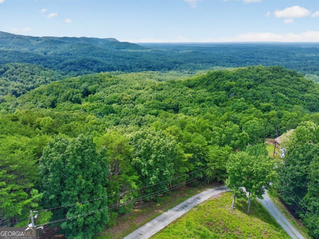 726 Railey Ridge RANGER - Photo 70