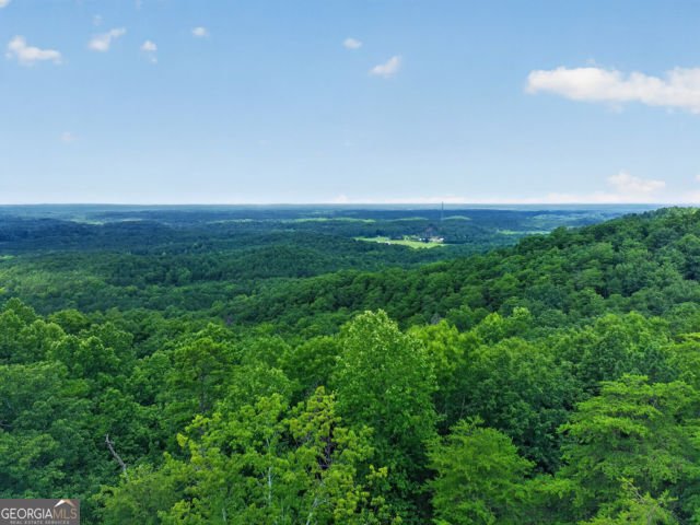 726 Railey Ridge RANGER - Photo 71