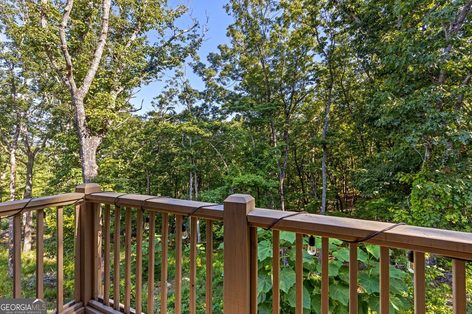 356 Mulberry Circle Jasper - Photo 24